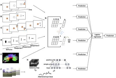 Detection of Children/Youth With Fetal Alcohol Spectrum Disorder Through Eye Movement, Psychometric, and Neuroimaging Data